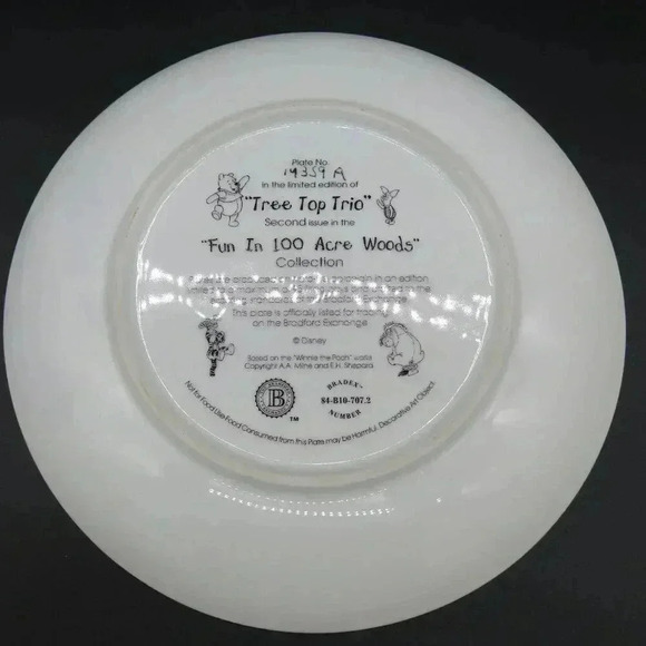 Vintage Disney Winnie The Pooh Collectable Plates Fun in the 100 Acre Woods - Picture 3 of 6
